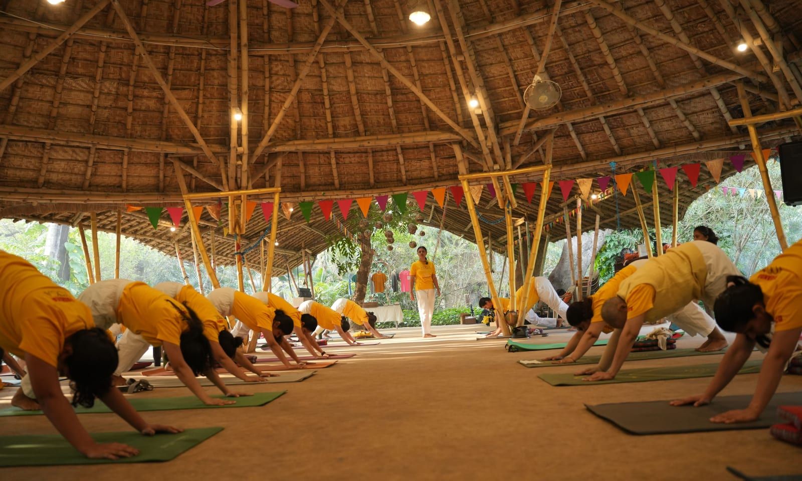 Students holding Adho Mukha Svanasana (downward-facing dog) on their mats as a teacher watches.