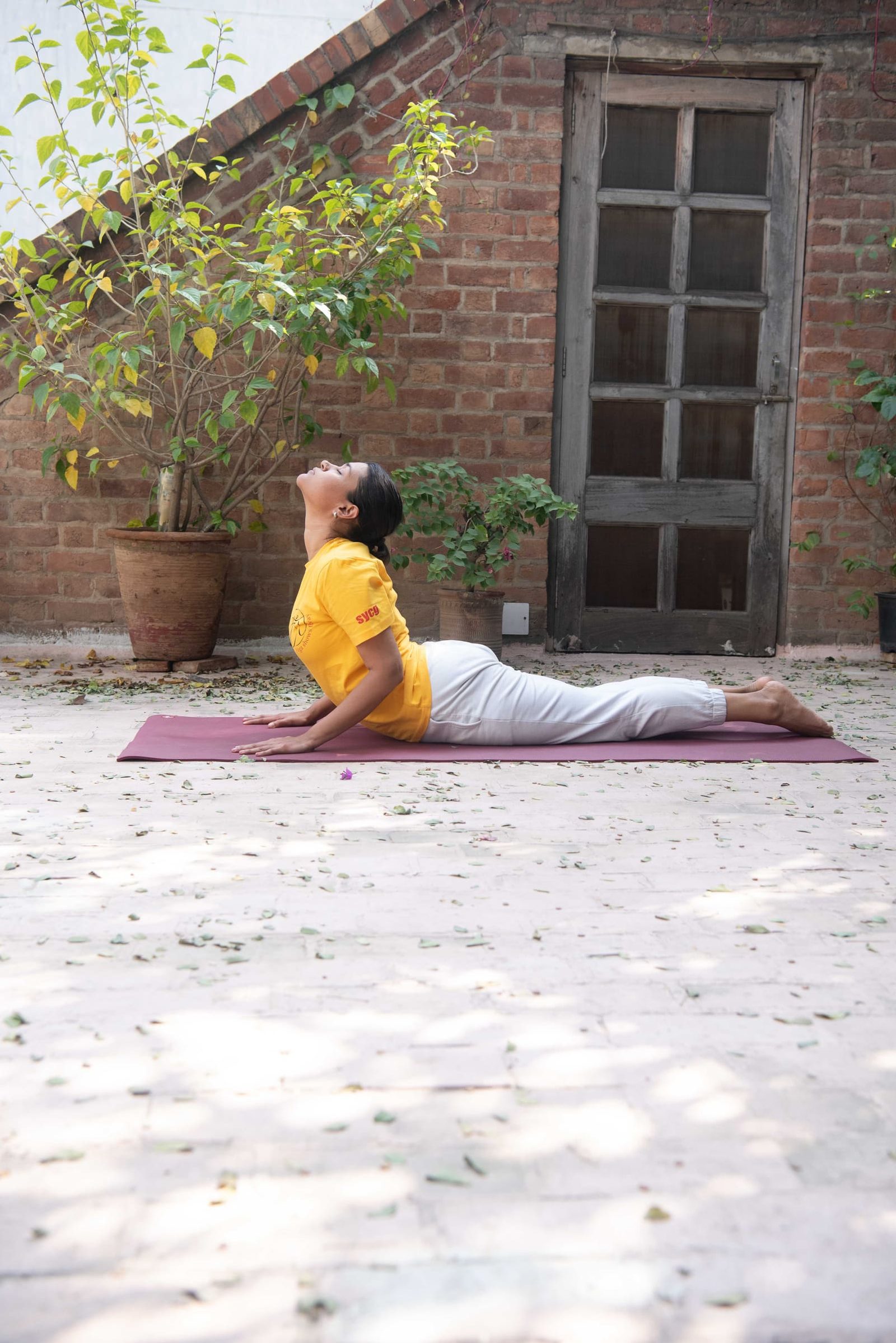 Bhujangasana (Cobra)