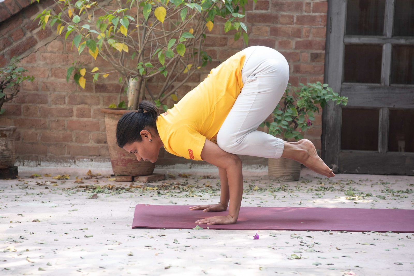 Kakasana (Crow)/Mayurasana (Peacock)