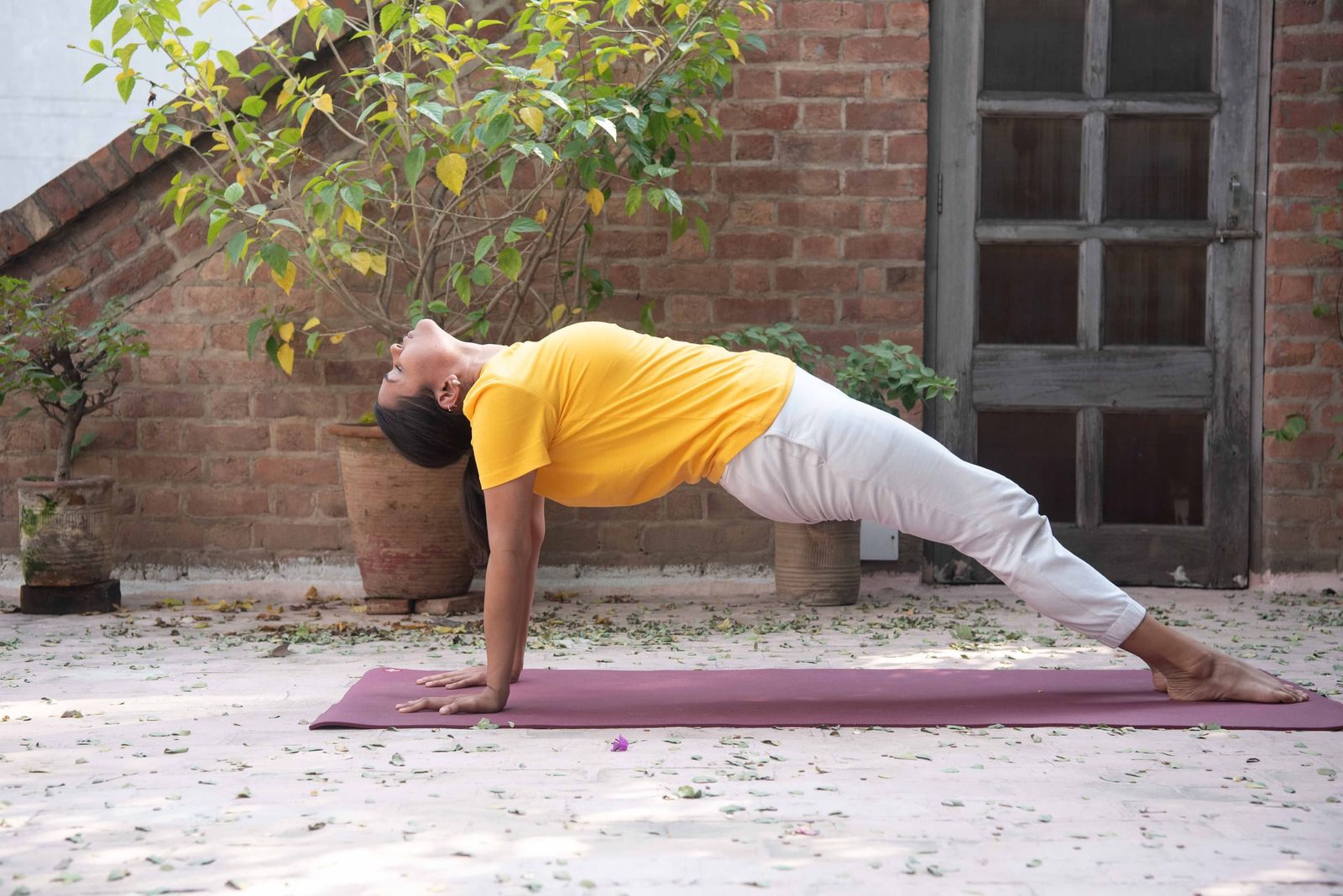 Purvottanasana (Inclined plane)