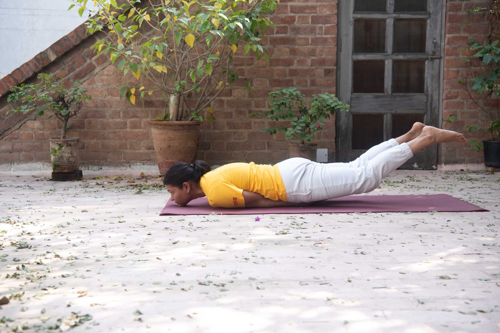 Shalabhasana (Locust)